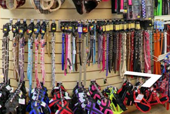 Dog Collars & Leashes - Pet Supermarket